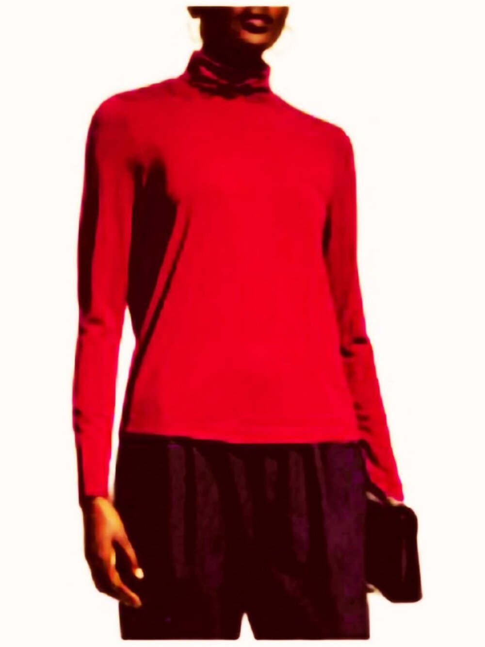 Eileen Fisher Turtleneck Top New 3X
